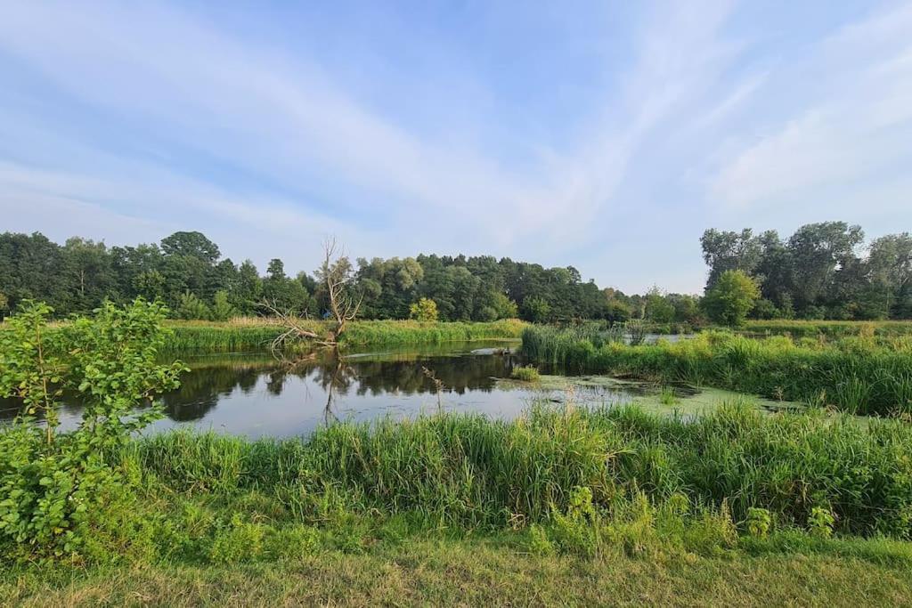 Villa Dom Male Mazury Drozdowo Exterior foto